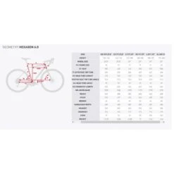 MTB KROSS HEXAGON 6.0 Alluminio 29" 24v Freni A Disco Idraulici 29" -Bici Sconto mtb kross hexagon 60 8